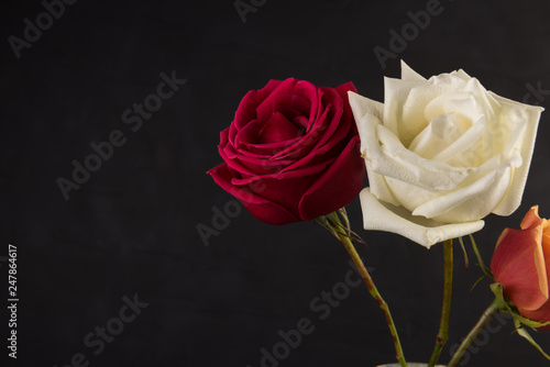 Fototapeta Naklejka Na Ścianę i Meble -  Boquet of roses on black background