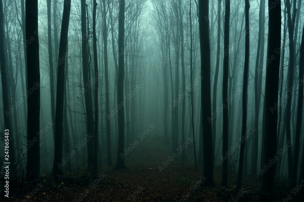 Naklejka premium Mysterious dark autumn forest in green fog with road, trees and branches