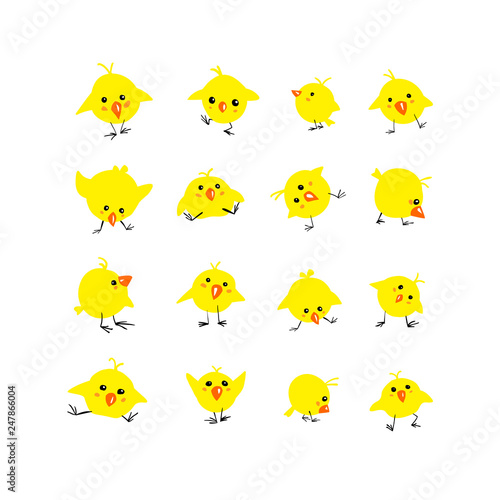 Set of 16 vector yellow chicks on white background