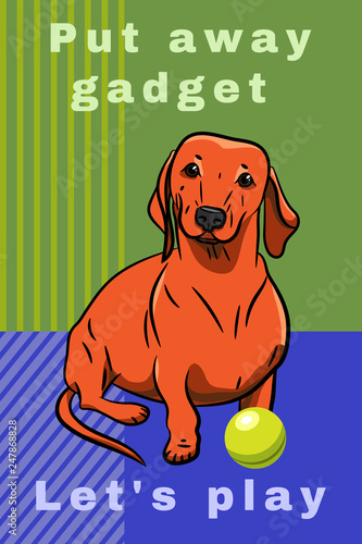 Dog. Orange Dachshund with a ball and Inscription on a green-purple background. Hand-drawn Dog. Realistically Painted Dachshund. Transparence. Vector illustration.