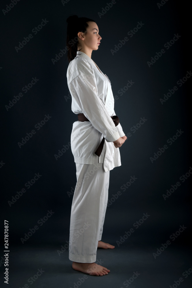 Young Woman Dressed In Traditional Kimono Young Woman Dressed In Traditional Kimono