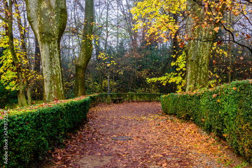 Beautiful alley in the park  Autumn Season 