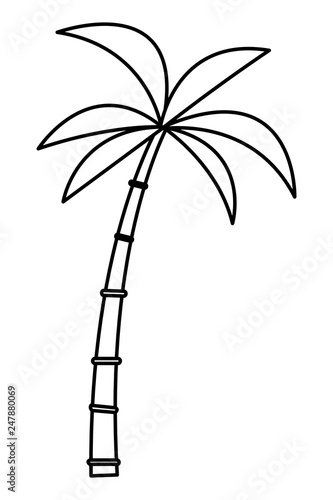 beach palm cartoon