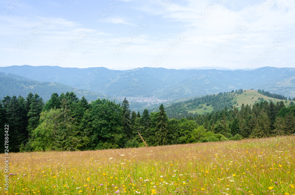 Summer landscape. Meadow, glade on the background of high mountains in the distance
