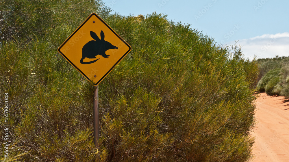 traffic sign at the road for bilby protection 