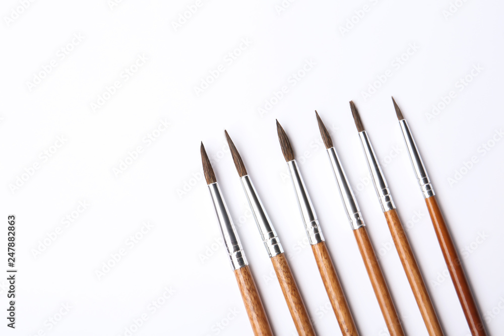 Different paint brushes on white background, top view. Space for text Different paint brushes on white background, top view. Space for text