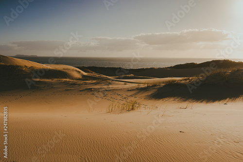 Desert Ruins