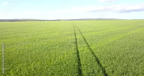 Following tractor tracks over a field of barley DRONE photo