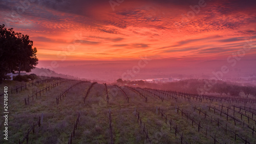 Paso Robles Sunrise