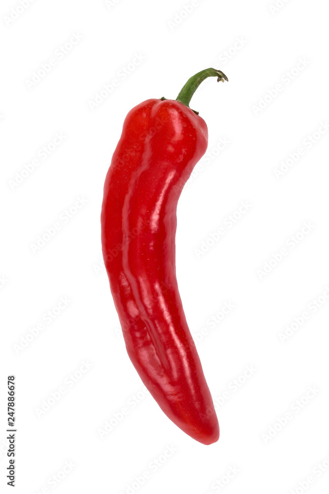 Pepper on a white isolated background Pepper on a white isolated background