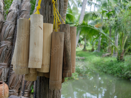 Bamboo palm sugar. Process of Coconut Palm Sugar