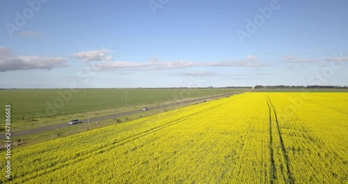 Canola field next to a national road in South Africa DRONE still photo