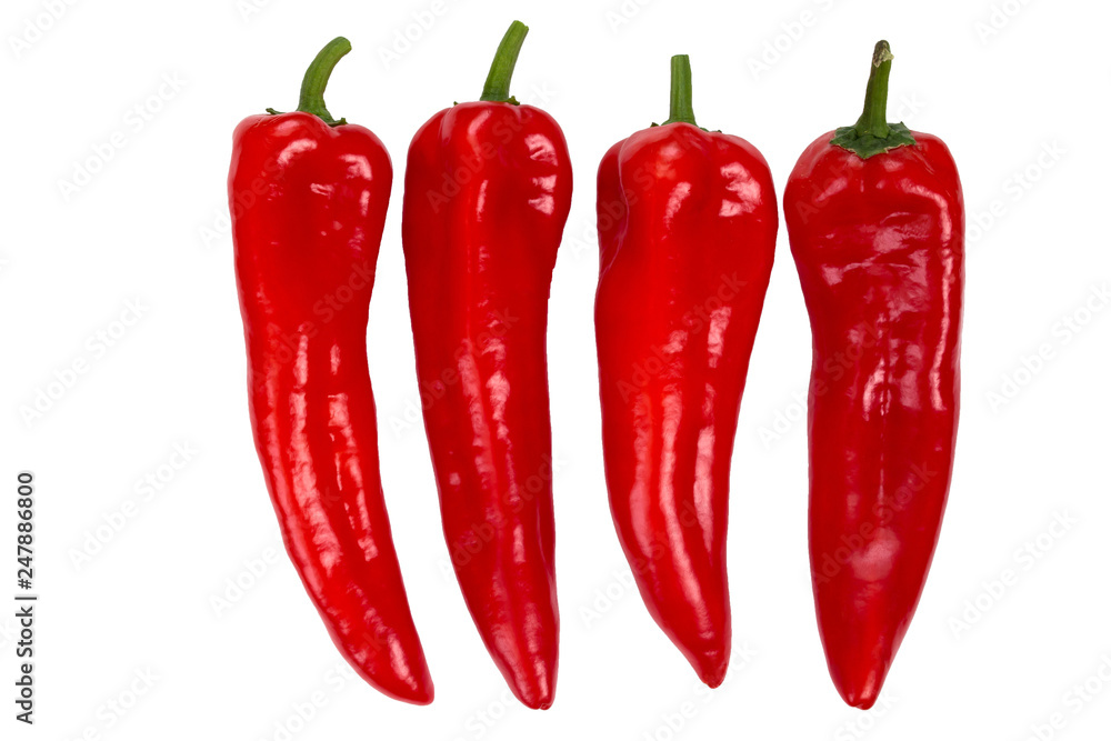 Peppers on a white isolated background Peppers on a white isolated background