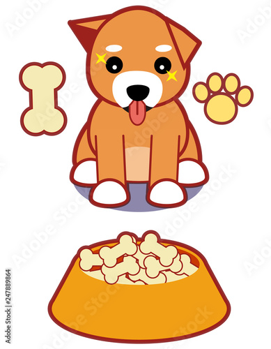 しつけで餌を待たされている柴犬 Shiba Inu is kept waiting for bait at discipline