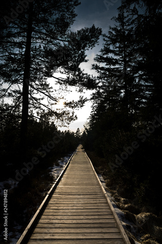 wooden path at dawn