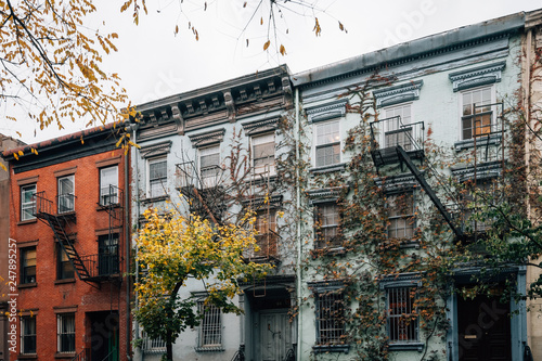 Fototapeta Naklejka Na Ścianę i Meble -  Vines on a residential building in the East Village, Manhattan, New York City
