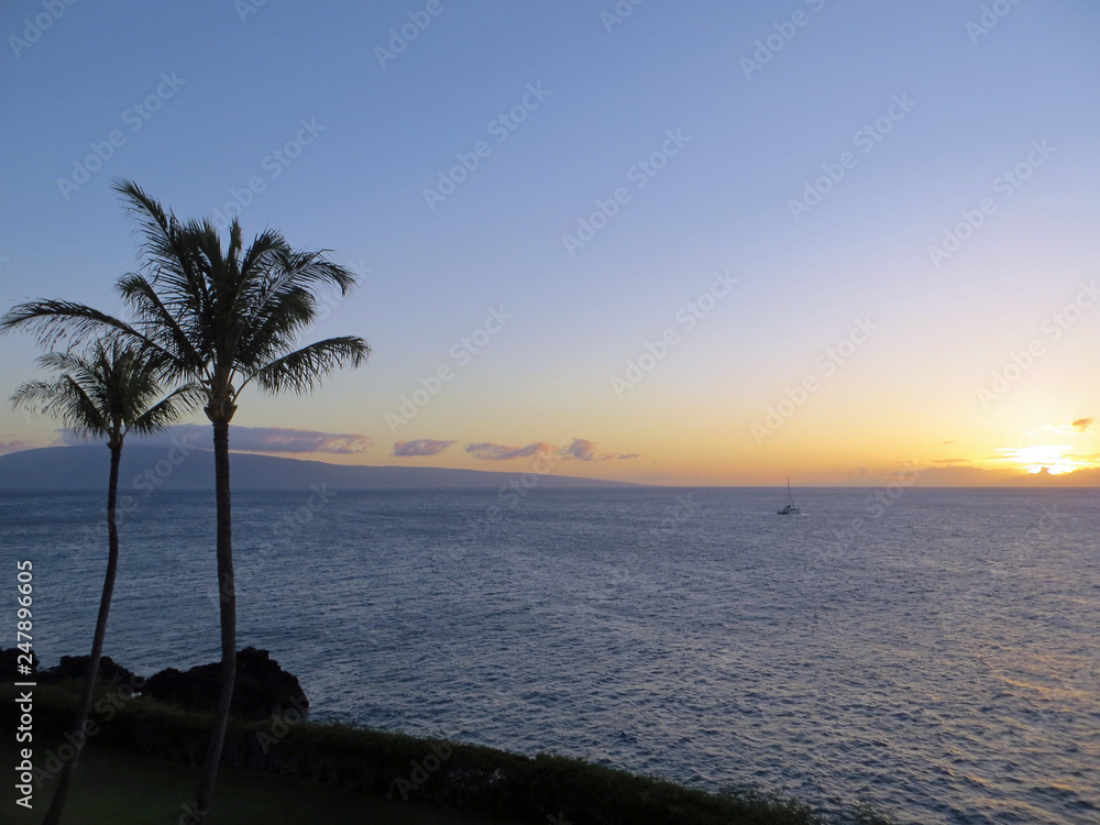 Maui Sunset Palm tree Pacific Ocean Island 