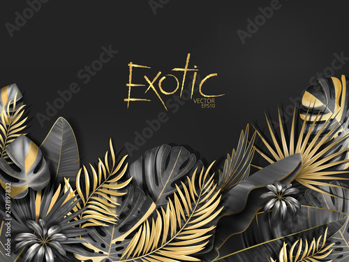 Vector exotical background with black and gold tropical leaves on dark gray background. Luxury exotic botanical design for spa, perfume,cosmetics, aroma, beauty salon etc.