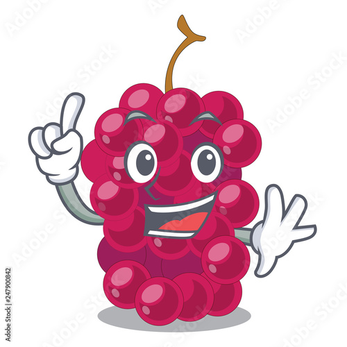 Finger mulbery fruit isolated with the cartoons