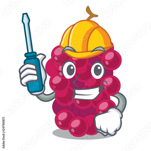 Automotive mulbery fruit isolated with the cartoons