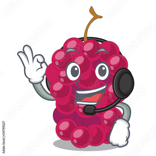 With headphone mulbery fruit isolated with the cartoons