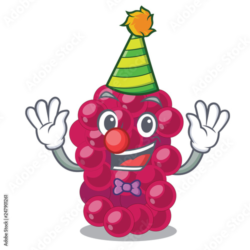 Clown mulbery fruit isolated with the cartoons