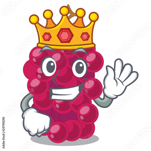 King mulbery fruit isolated with the cartoons