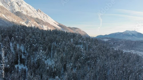 Tirol Winter trees Aerial photo