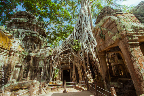 ta prohm temple cambodia