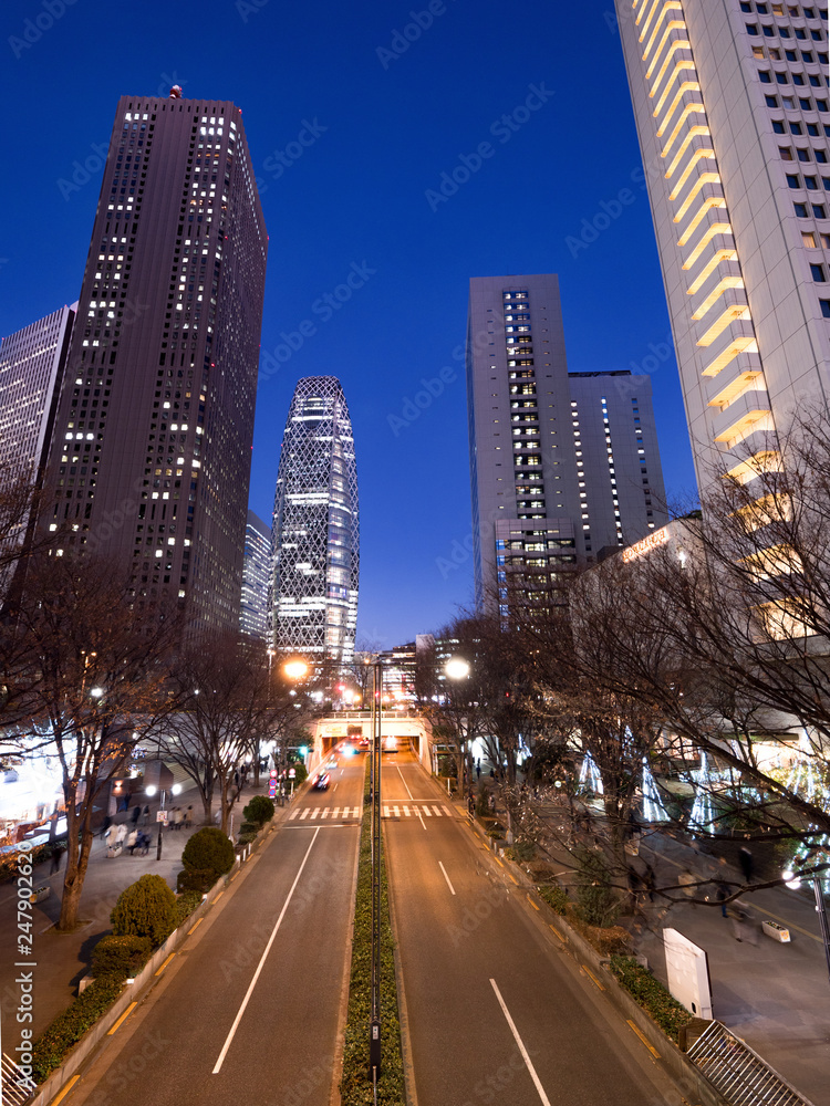 東京都　夜の新宿高層ビル街