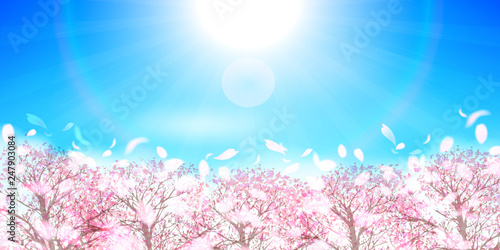 桜　春　花　背景 