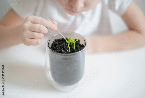 Processing and care of the soil. The little child cultivates the land around the green young seedling. Loosening of the ground. Caring for a new life. Earth day holiday concept. World Environment Day