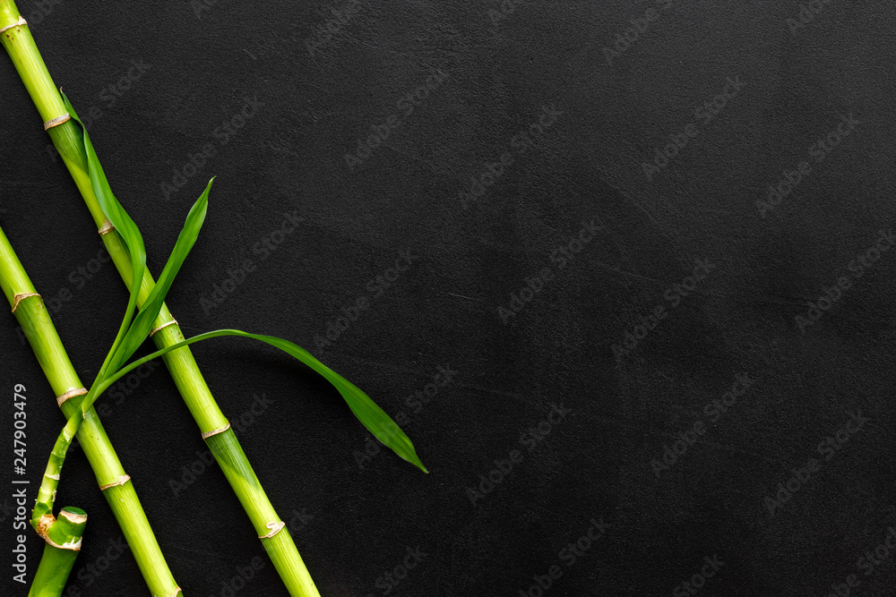 Fototapeta Azjatyckie tło. Zielony bambus rozgałęzia się na czarnej tło odgórnego widoku przestrzeni dla teksta