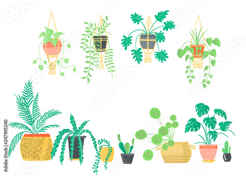 Set of decorative houseplants. Plants and nature homemade flowers in pot interior decoration in flat cartoon style.