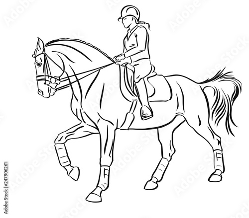 Equestrian sport. Young woman riding on a horse.