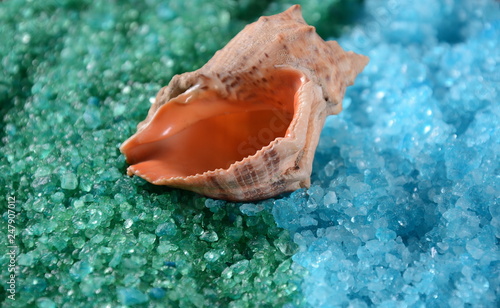 Sea shell on the colorful salt background. Spa and body care concept. Dead Sea Salt. Aromatic spa treatment. Natural ingredients for homemade body salt scrub. Beauty and skin care concept.