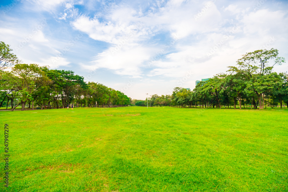 Green grass field with tree public park Green grass field with tree public park