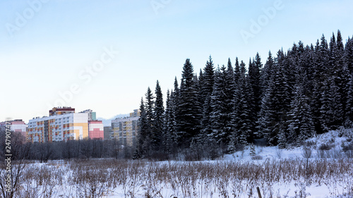 winter city landscape with houses and trees
