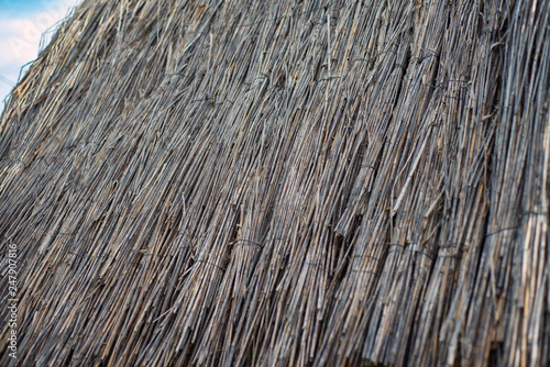a surface of neatly laid flat straw
