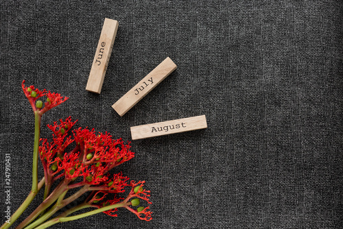 Object shooting of a flower and beautiful inscriptions on cubes. Layout items. photo