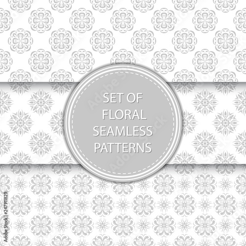 Gray and white floral seamless backgrounds. Compilation of patterns