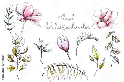 Floral watercolor and sketching wedding handpainted elements with delicate pink and monochrome flowers