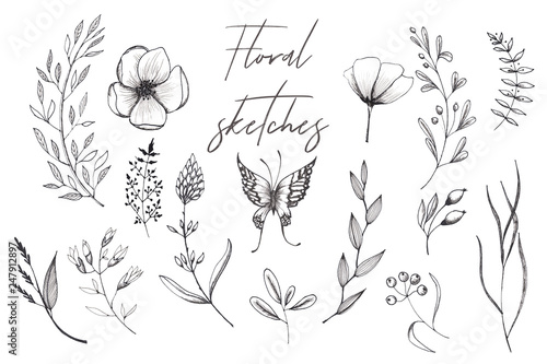 Floral watercolor and sketching wedding handpainted elements with delicate pink and monochrome flowers