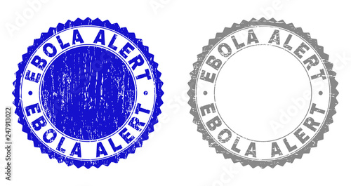 Grunge EBOLA ALERT stamp seals isolated on a white background. Rosette seals with grunge texture in blue and grey colors. Vector rubber stamp imitation of EBOLA ALERT caption inside round rosette.