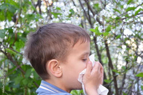 Little boy using tissue from allergy infection in the park near flowering trees.