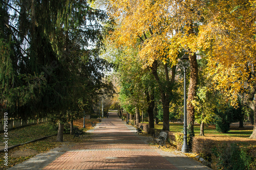 Alley in the autumn park.