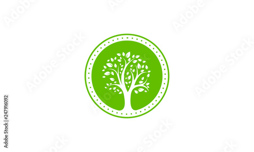 Awesome Green Leaf With Circle Abstract Badge Colorful Concept Design Vector Logo