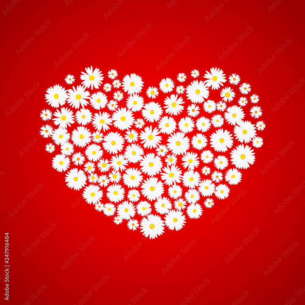 Heart Valentines day card. White daisies on red background. Wedding invitation card template, Love concept. Festive poster for 14 February. Vector illustration Heart Valentines day card. White daisies on red background. Wedding invitation card template, Love concept. Festive poster for 14 February. Vector illustration