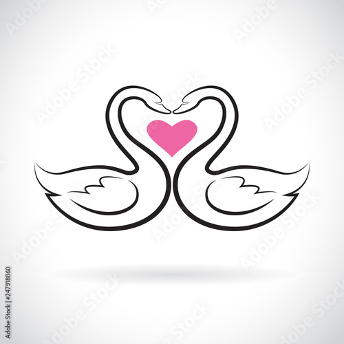 Vector of two loving swans and pink heart on white background. Wild Animals. swans logo or icon. Easy editable layered vector illustration.