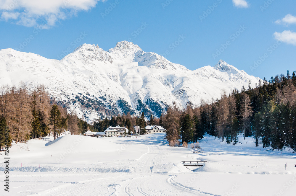 St. Moritz, Stazerwald, Stazersee, Alpen, Alp Languard, Piz Languard, Oberengadin, Graubünden, Winter, Wintersport, Schweiz